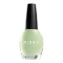 Esmalte 15ml. 534 Hechizo