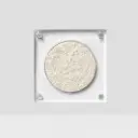 RIDING SOLO SPACED OUT